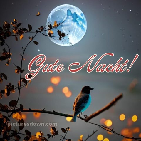 Schönen abend und später eine gute nacht bilder kostenlos whatsapp bild Himmel kostenlos