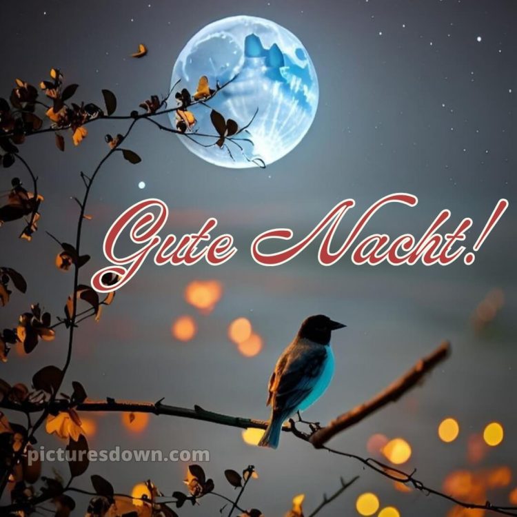 Schönen abend und später eine gute nacht bilder kostenlos whatsapp bild Himmel kostenlos