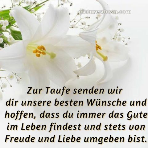 Taufkarte Glückwünsche zur Taufe bild Lilie kostenlos