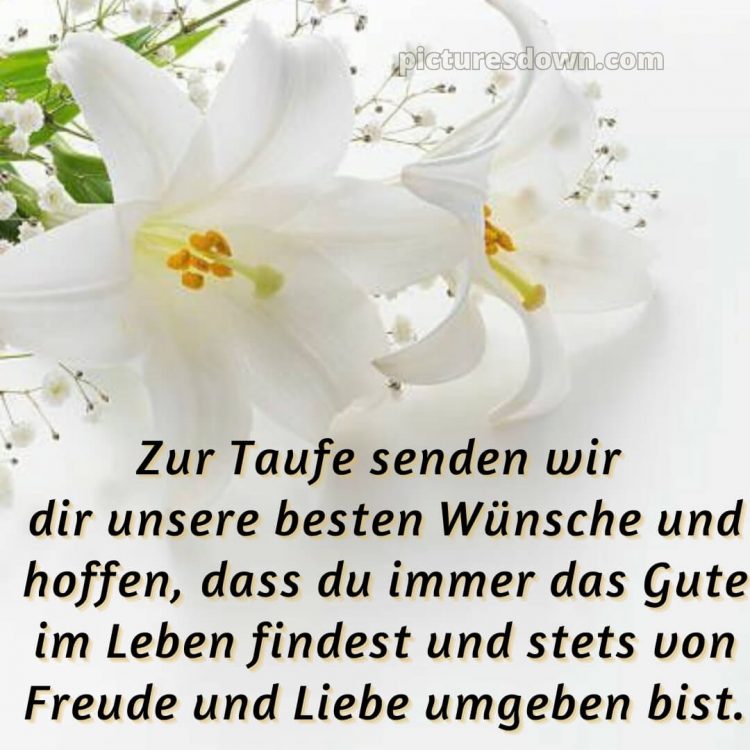 Taufkarte Glückwünsche zur Taufe bild Lilie kostenlos