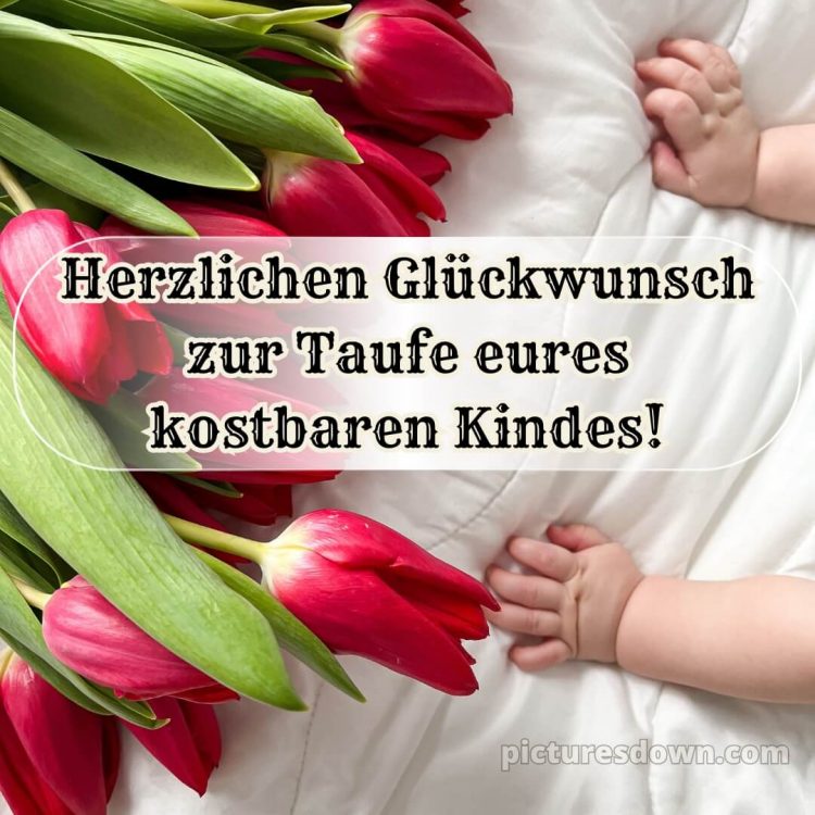 Taufkarte glückwünsche zur taufe modern bild Tulpen kostenlos