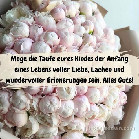 Taufkarte glückwünsche zur taufe modern bild Pfingstrosen kostenlos