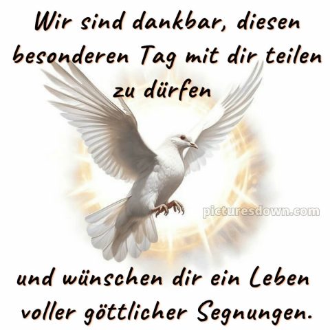 Taufspruch glückwünsche zur taufe von den großeltern bild Taube kostenlos