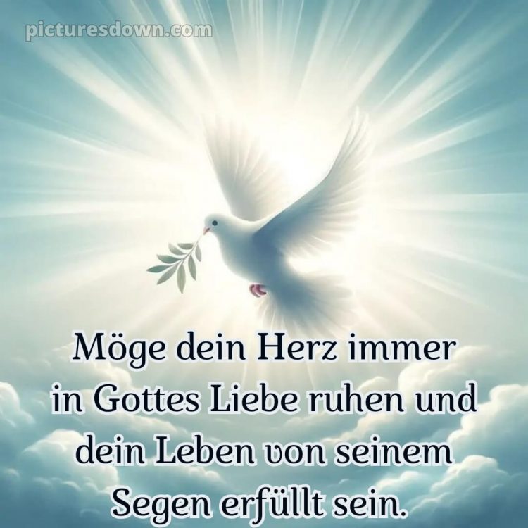 Taufspruch oma glückwünsche zur taufe von den großeltern bild Taube kostenlos