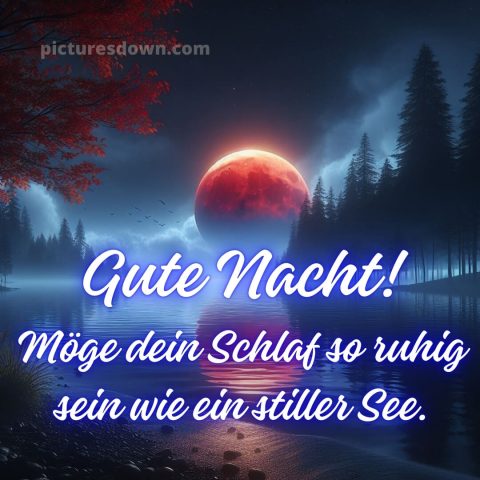 Wunderschöne gute nacht bilder bild Wasser kostenlos