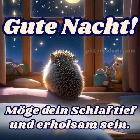 Wunderschöne gute nacht bilder bild Igel kostenlos