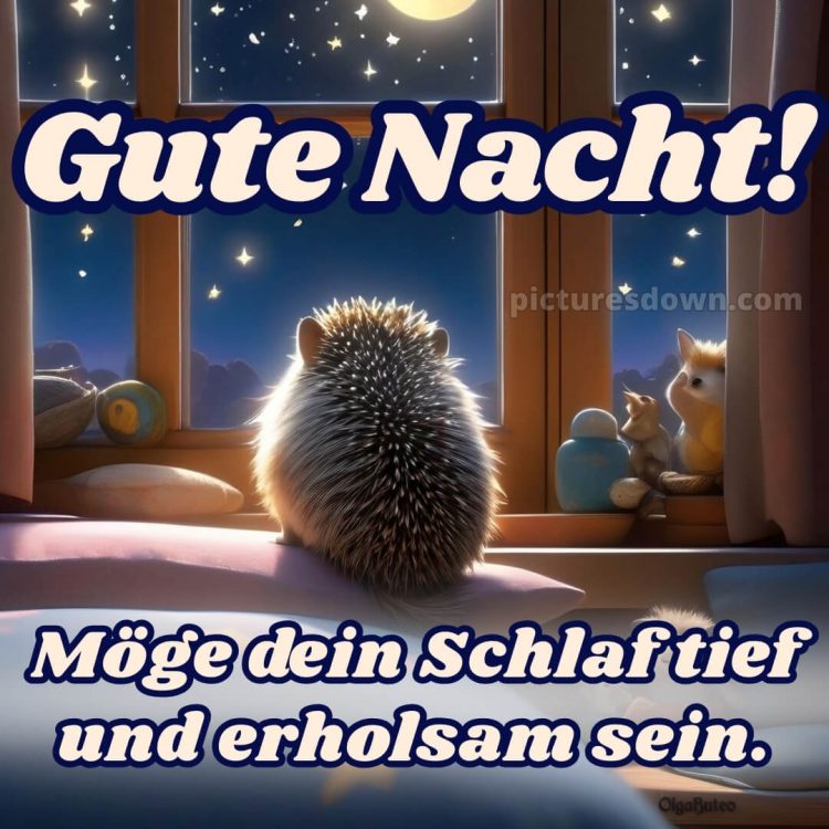 Wunderschöne gute nacht bilder bild Igel kostenlos
