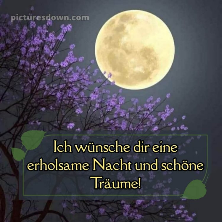 Wunderschöne gute nacht bilder bild Blüte kostenlos