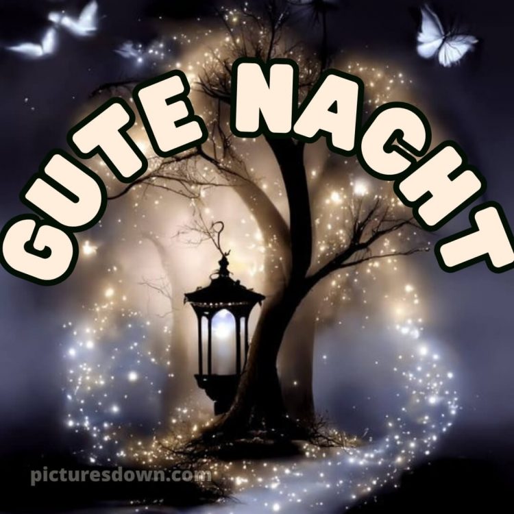 Wunderschöne gute nacht bilder bild Baum kostenlos