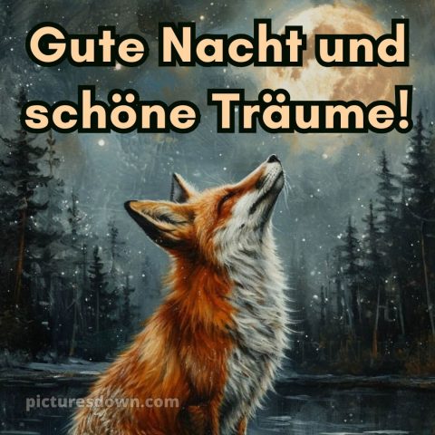 Wunderschöne gute nacht bilder bild Fuchs kostenlos
