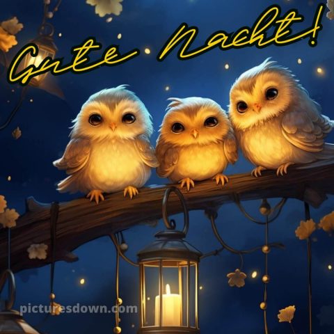 Wunderschöne gute nacht bilder bild Eulen kostenlos