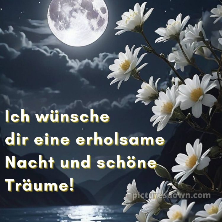 Wunderschöne gute nacht bilder bild Blumen kostenlos