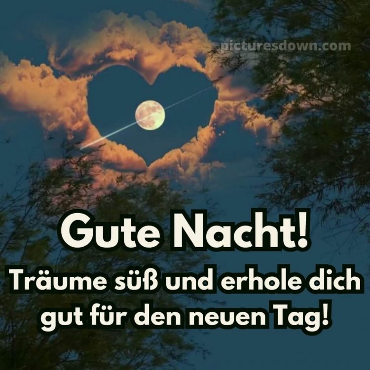 Wunderschöne gute nacht bilder kostenlos bild Bäume kostenlos