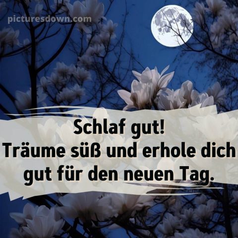 Wunderschöne gute nacht bilder kostenlos bild Blumen kostenlos