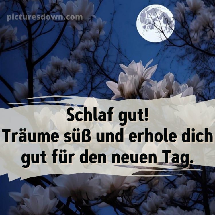 Wunderschöne gute nacht bilder kostenlos bild Blumen kostenlos