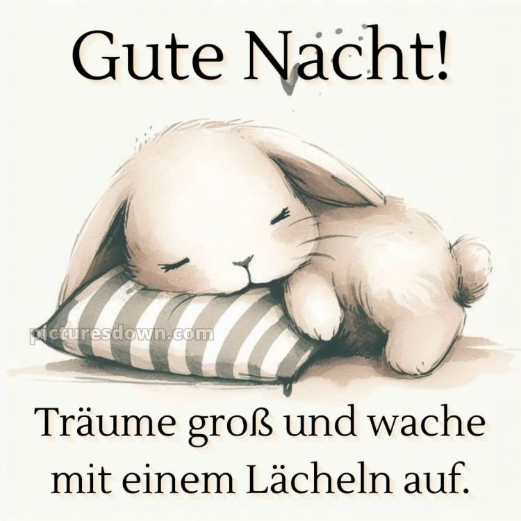 Wunderschöne gute nacht bilder kostenlos bild Hase kostenlos