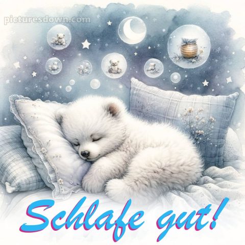 Bilder gute nacht bild Kissen kostenlos