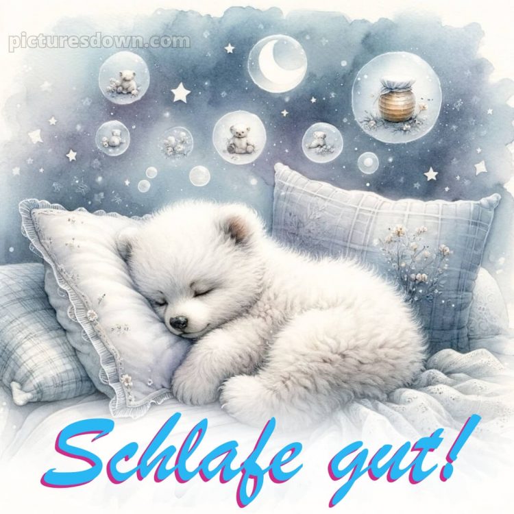 Bilder gute nacht bild Kissen kostenlos