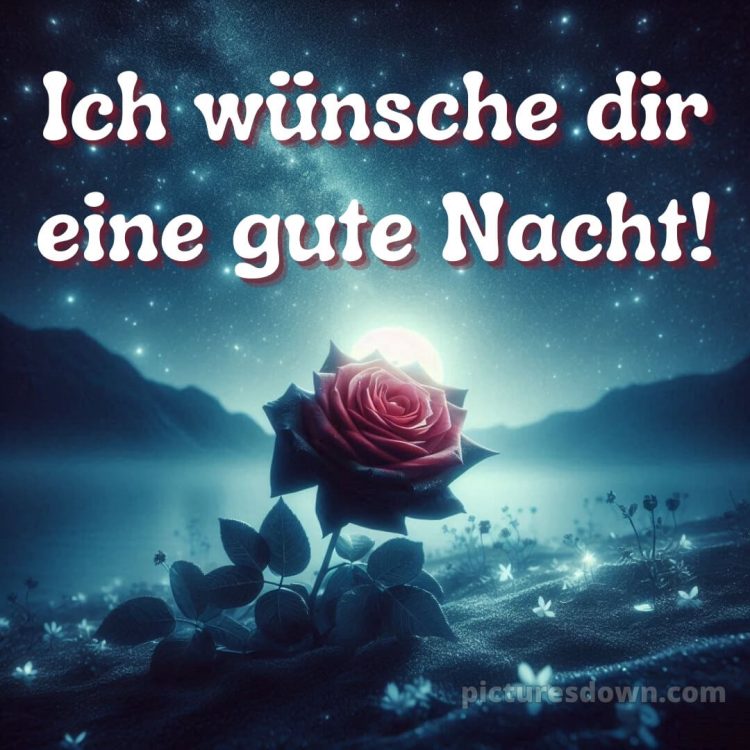 Bilder gute nacht bild Rose kostenlos