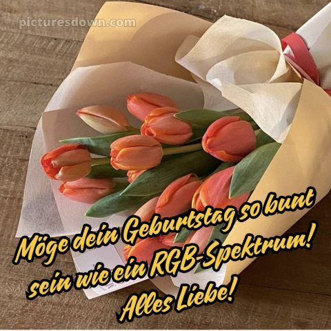 Blumenstrauß alles gute zum geburtstag blumen bild Bouquet kostenlos