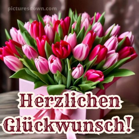 Blumenstrauß geburtstag bild Blumenstrauß im Karton kostenlos