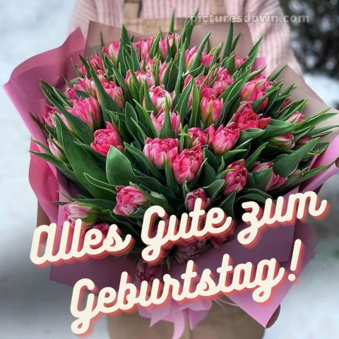 Blumenstrauß geburtstag bild Tulpen kostenlos