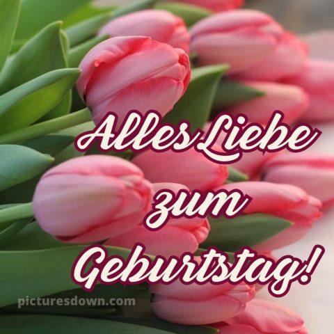 Blumenstrauß geburtstag bild rosa Tulpen kostenlos