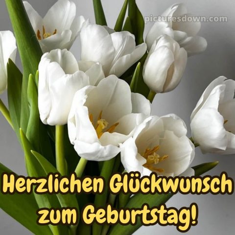 Blumenstrauß herzlichen glückwunsch zum geburtstag bild weiße Tulpen kostenlos