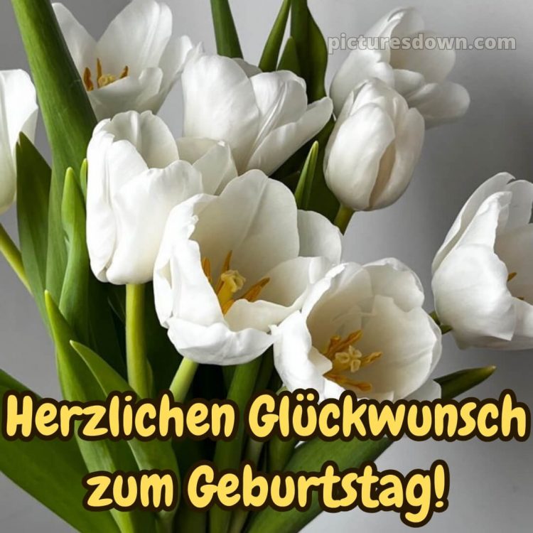 Blumenstrauß herzlichen glückwunsch zum geburtstag bild weiße Tulpen kostenlos