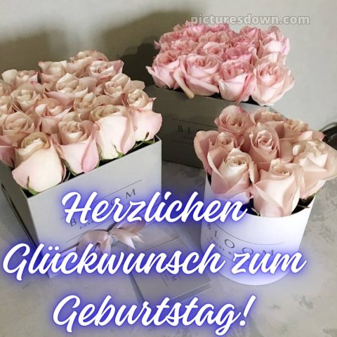 Blumenstrauß herzlichen glückwunsch zum geburtstag bild drei Kästchen kostenlos