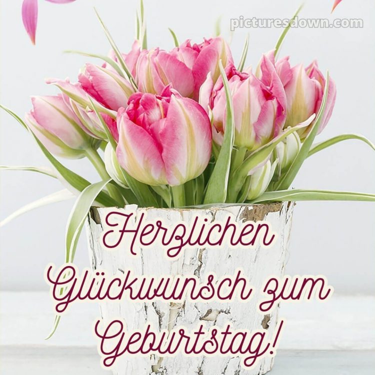 Blumenstrauß herzlichen glückwunsch zum geburtstag bild Tulpen in Schachteln kostenlos