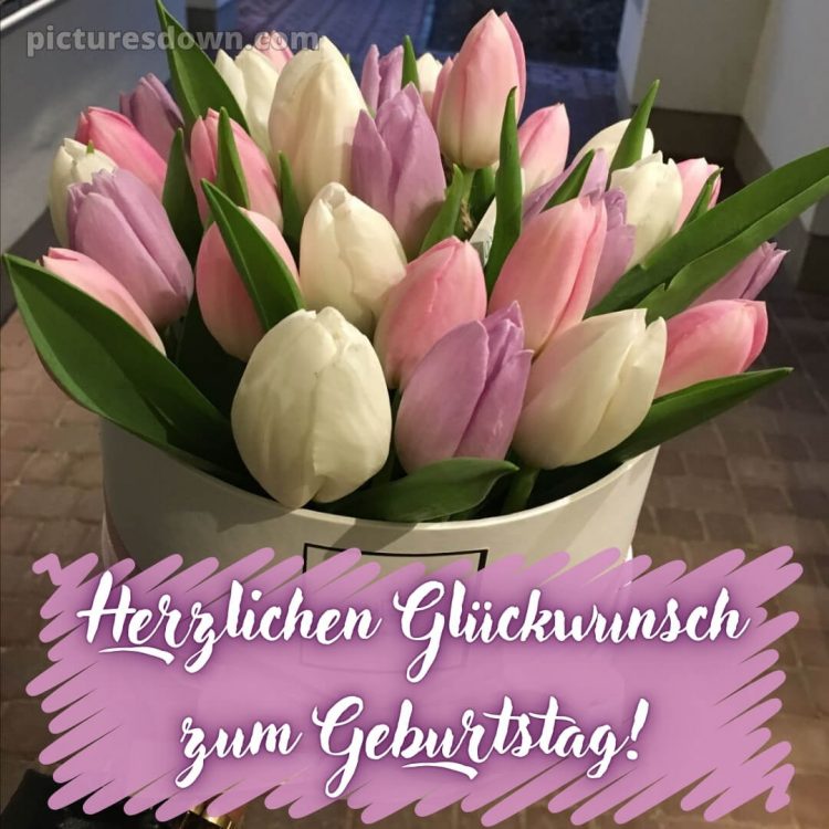 Blumenstrauß herzlichen glückwunsch zum geburtstag bild Tulpen kostenlos