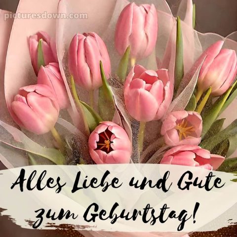 Blumenstrauß zum Geburtstag bild rosa Tulpen kostenlos