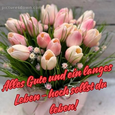 Blumenstrauß zum Geburtstag bild Grüne kostenlos