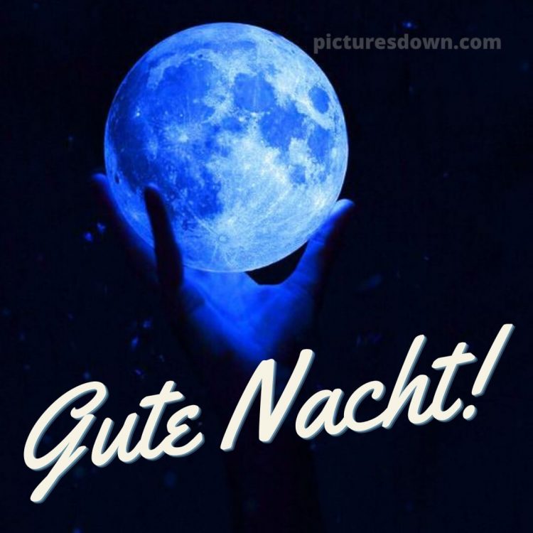 Gute nacht bilder kostenlos whatsapp bild Hand kostenlos