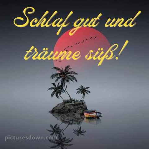 Gute nacht bilder kostenlos whatsapp bild Palmen kostenlos