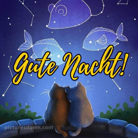 Gute nacht bilder kostenlos whatsapp lustig neu bild Himmel kostenlos