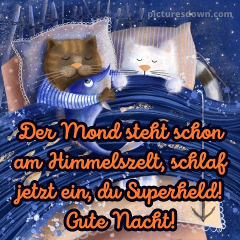 Gute nacht bilder kostenlos whatsapp lustig neu bild Bett kostenlos