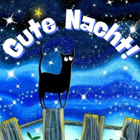 Gute nacht bilder kostenlos whatsapp lustig neu bild schwarze Katze kostenlos
