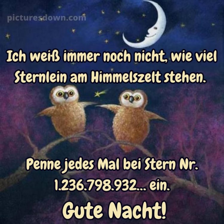Gute nacht bilder kostenlos whatsapp lustig neu bild Zweigstellen kostenlos