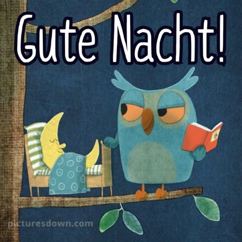 Gute nacht bilder kostenlos whatsapp lustig neu bild Eule kostenlos