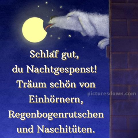 Gute nacht bilder kostenlos whatsapp lustig neu bild Hund kostenlos