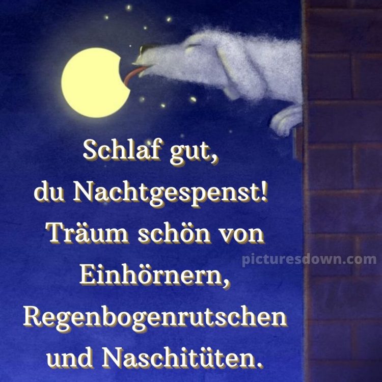 Gute nacht bilder kostenlos whatsapp lustig neu bild Hund kostenlos