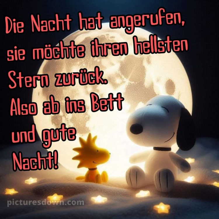 Gute nacht bilder lustig bild Hündchen kostenlos
