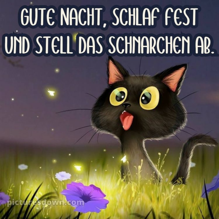 Gute nacht bilder lustig bild Zunge kostenlos