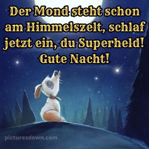 Gute nacht bilder lustig bild Weihnachtsbäume kostenlos