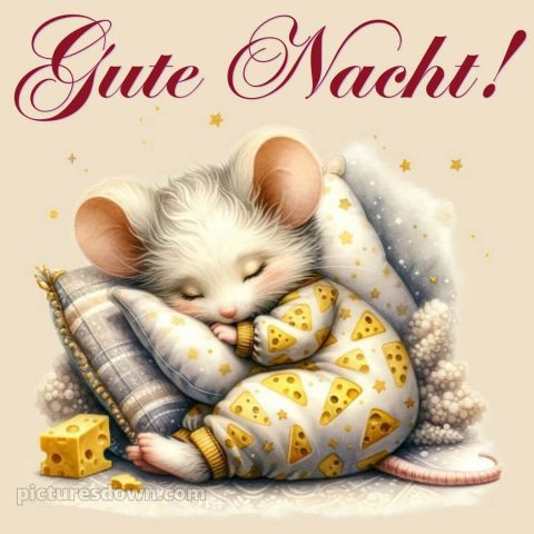 Gute nacht bilder lustig bild Maus kostenlos