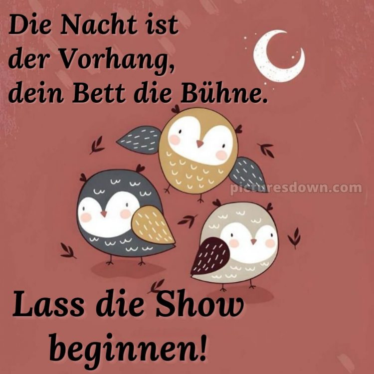Gute nacht bilder lustig bild Eulen kostenlos