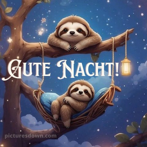 Gute nacht bilder lustig bild Faultiere kostenlos