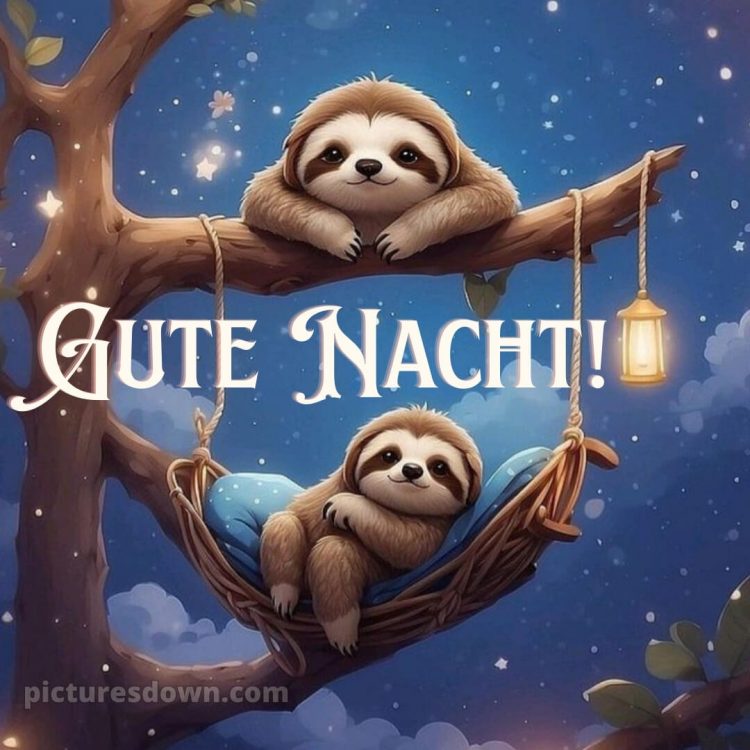 Gute nacht bilder lustig bild Faultiere kostenlos
